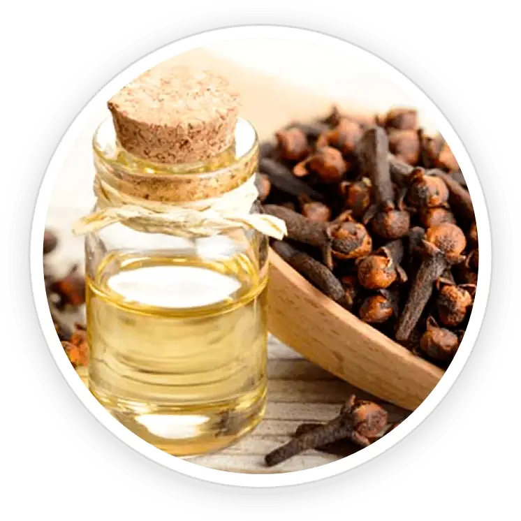 Clove Bud Oil icon
